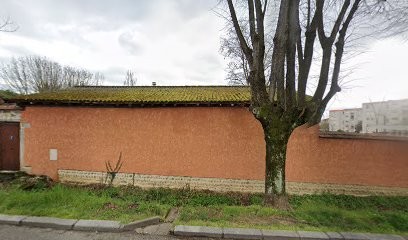 Favre Thierry Jean Michel, Médecin Généraliste à Mions