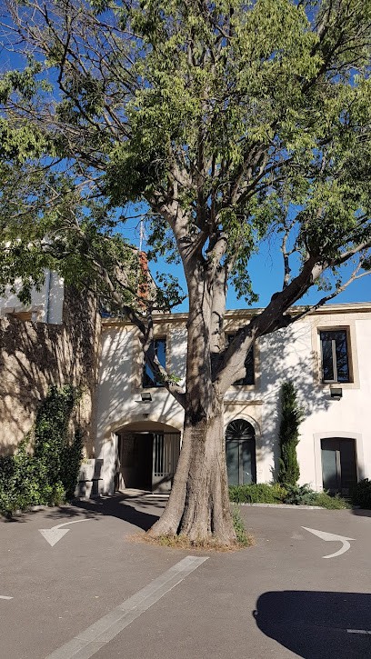 Docteur Pierre SEGURET, Médecin Généraliste à Lavérune
