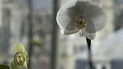 Centre Esthétique de la Basilique, Médecin Généraliste à Saint-Quentin