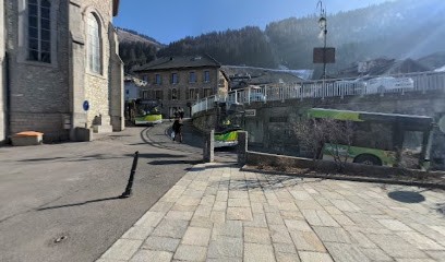 Cabinet de médecine et traumatologie, Médecin Généraliste à Châtel