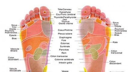 Pédicure-podologue SB² (Sylvain Brefel - Stéphane Brousssoux), Médecin Généraliste à Escalquens