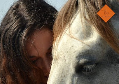 Léa Meyer Masseur-Kinésithérapeute Formée En Hippothérapie, Médecin Généraliste à Krautergersheim